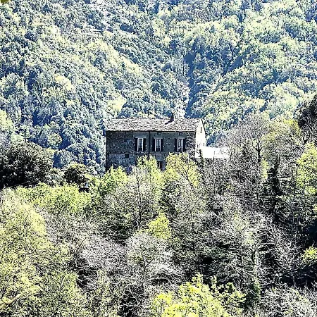 Apartment Maison De Charme Avec Vue, Au Coeur Du Maquis